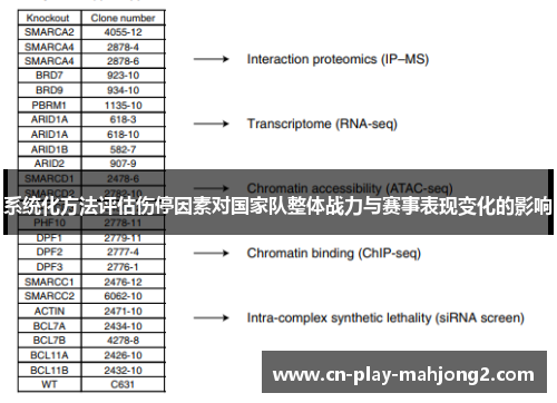 系统化方法评估伤停因素对国家队整体战力与赛事表现变化的影响